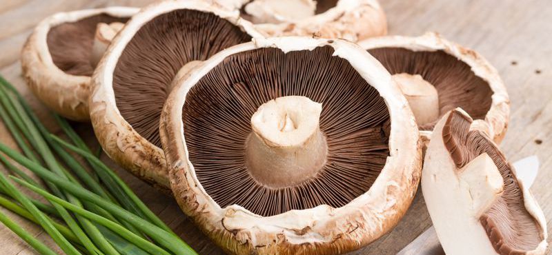 Zusätzlich zu den frischen Kräutern in unserem Sortiment bieten wir auch eine Vielzahl von aromatischen Pilzen an.